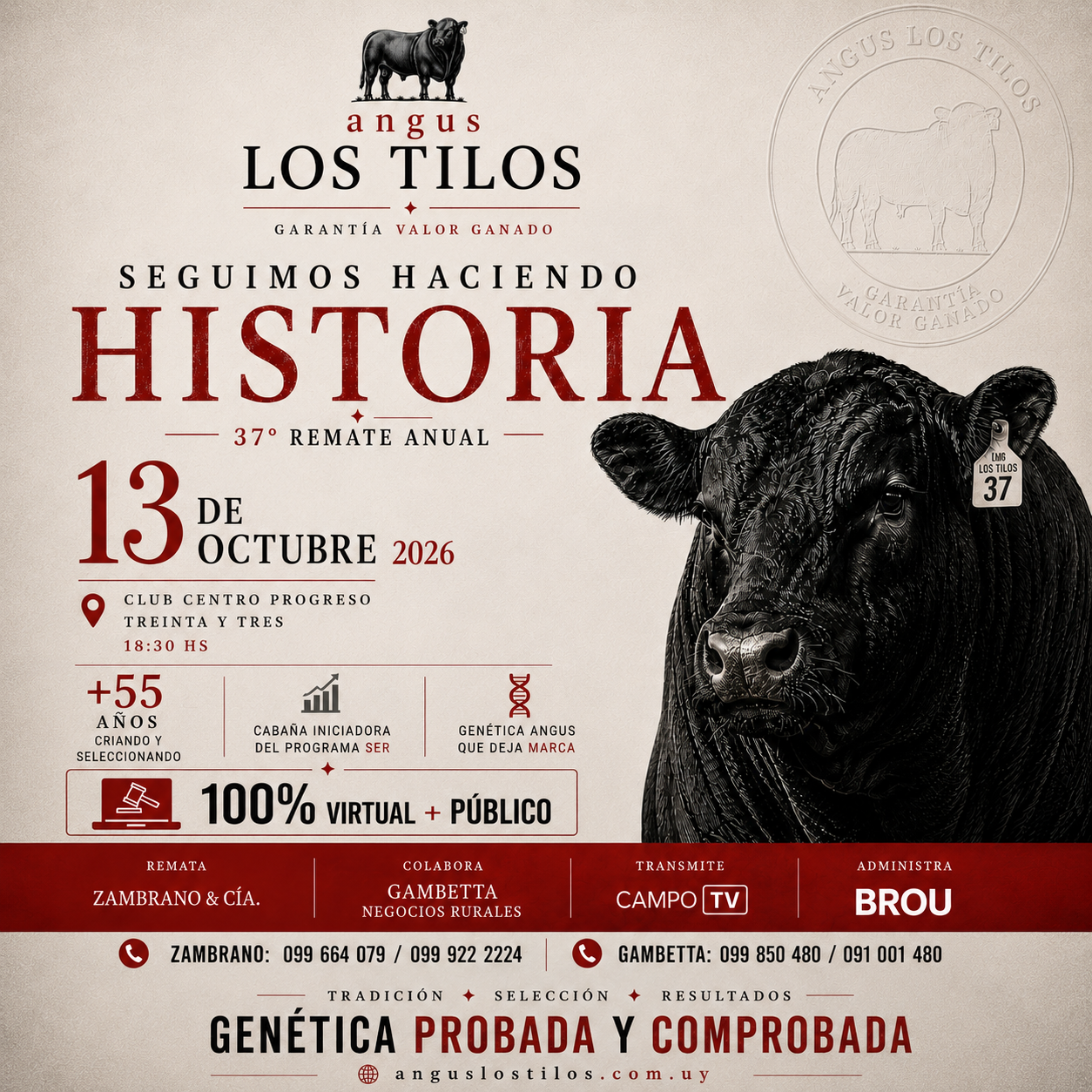 Remate 37 angus LOS TILOS